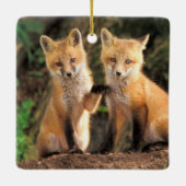 Zwei Red Fox Welpen vor ihren Den Keramikornament (Rückseite)