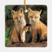 Zwei Red Fox Welpen vor ihren Den Keramikornament (Vorderseite)