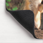 Zwei Red Fox Welpen vor ihren Den Mousepad (Ecke)