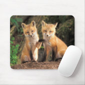 Zwei Red Fox Welpen vor ihren Den Mousepad (Mit Mouse)