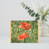 Zwei Red Poppies Wild Blume DIY Postkarte (Stehend Vorderseite)