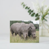 Zwei Rhinos Postcard Postkarte (Stehend Vorderseite)