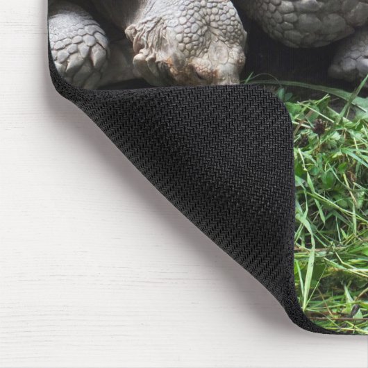 Zwei Riesenschildkröten Mousepad (Ecke)