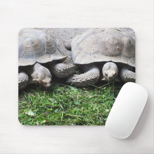 Zwei Riesenschildkröten Mousepad (Mit Mouse)