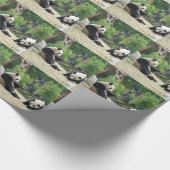 Zwei riesige Panda. Tierfotografie Geschenkpapier (Ecke)