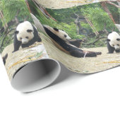 Zwei riesige Panda. Tierfotografie Geschenkpapier (Rolleneckpunkt)