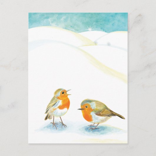 Zwei Robin Redbreasts im Winter Postkarte (Vorderseite)