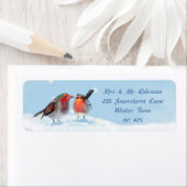 Zwei Robinen, Schnee (Insitu)