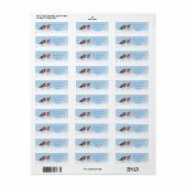 Zwei Robinen, Schnee (Vorne)