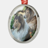 Zwei robuste Colliese Silbernes Ornament (Links)