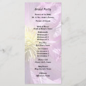 Zwei rosa Clematis Programm (Rückseite)