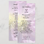 Zwei rosa Clematis Programm (Vorne/Hinten)