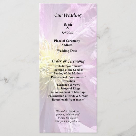 Zwei rosa Clematis Programm (Vorderseite)