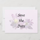 Zwei rosa Clematis Save The Date (Rückseite)