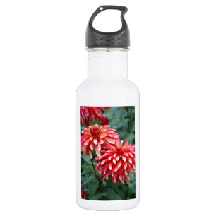 Zwei rosa Dahlien-Blume Trinkflasche