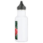 Zwei rosa Dahlien-Blume Trinkflasche (Rechts)