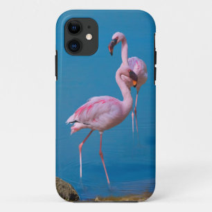 Zwei rosa Flamingos iPhone 11 Hülle