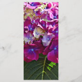 Zwei rosa Hydrangea Menükarte (Rückseite)