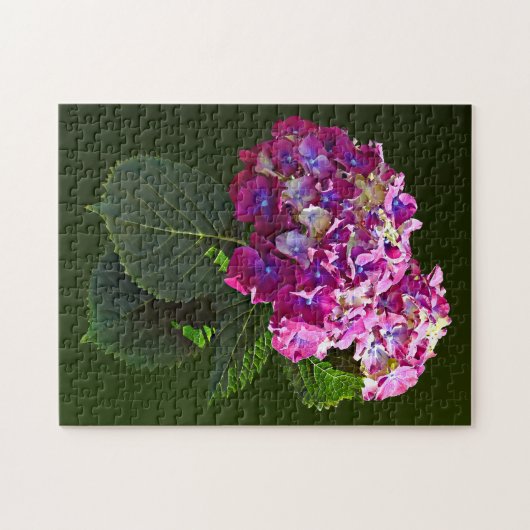 Zwei rosa Hydrangea Puzzle (Horizontal)