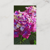 Zwei rosa Hydrangea Visitenkarte (Rückseite)