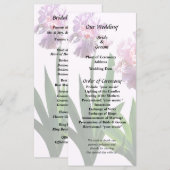 Zwei rosa Ire Programm (Vorne/Hinten)