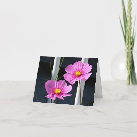 Zwei rosa Kosmos durch das Rennen Karte (Vorderseite)