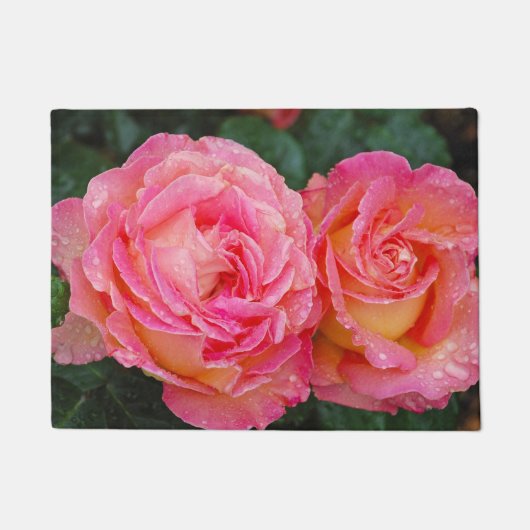 Zwei rosa Rosen Fußmatte (Vorderseite)