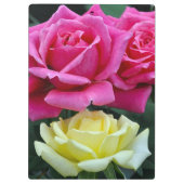 Zwei rosa Rosen Klemmbrett (Rückseite)