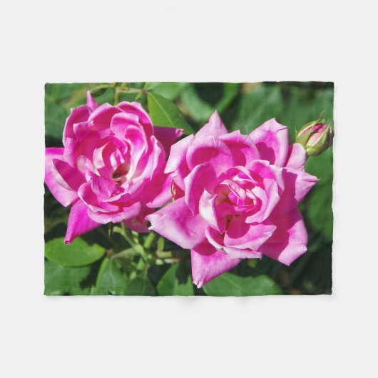 Zwei rosa Rosendecke Fleecedecke (Vorderseite (Horizontal))
