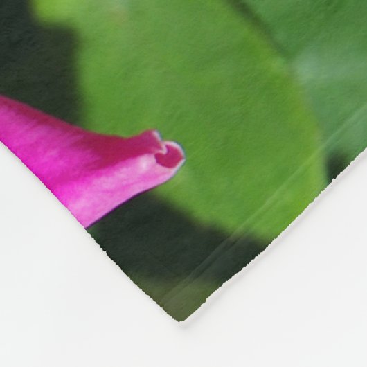 Zwei rosa Rosendecke Fleecedecke (Ecke)