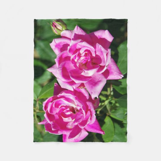 Zwei rosa Rosendecke Fleecedecke (Vorderseite)