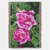 Zwei rosa Rosengewebte Decke (Vorderseite Vertikal)