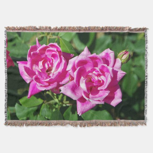 Zwei rosa Rosengewebte Decke (Vorderseite)