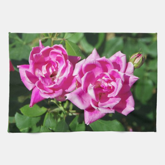 Zwei rosa Roses Küchentücher (Horizontal)