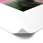 Zwei rosa Roses Poster (Ecke)