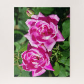 Zwei rosa Roses-Puzzle Puzzle (Vertikal)