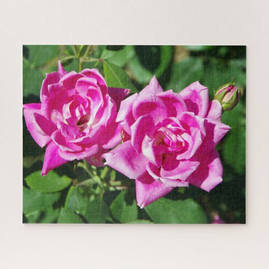 Zwei rosa Roses-Puzzle Puzzle (Horizontal)