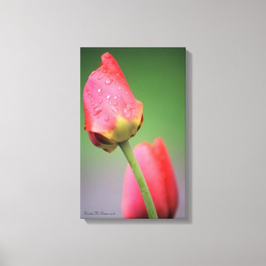 Zwei rosa Tulips Canvas drucken Leinwanddruck (Vorderseite)