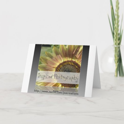 Zwei rosa Tulips Karte (Rückseite)