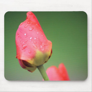 Zwei rosa Tulips-Maus-Pad Mousepad