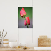 Zwei rosa Tulips Poster (Küche)