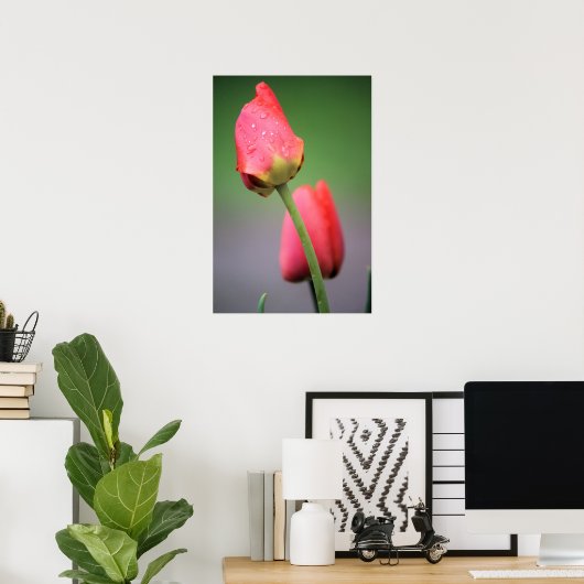 Zwei rosa Tulips Poster (Heimbüro)