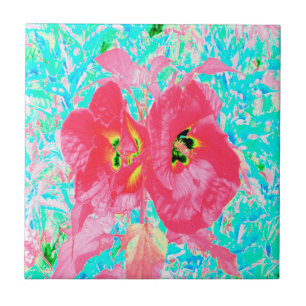 Zwei rosarote Korallen-Pflaume-Crazy-Hibiskus auf Fliese