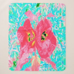 Zwei rosarote Korallen-Pflaume-Crazy-Hibiskus auf Sherpadecke