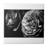 zwei Rose Fliese (Vorderseite)