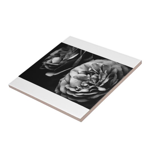 zwei Rose Fliese (Seite)
