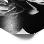 zwei Rose Fotodruck (Ecke)