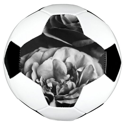 zwei Rose Fußball (Gedreht)