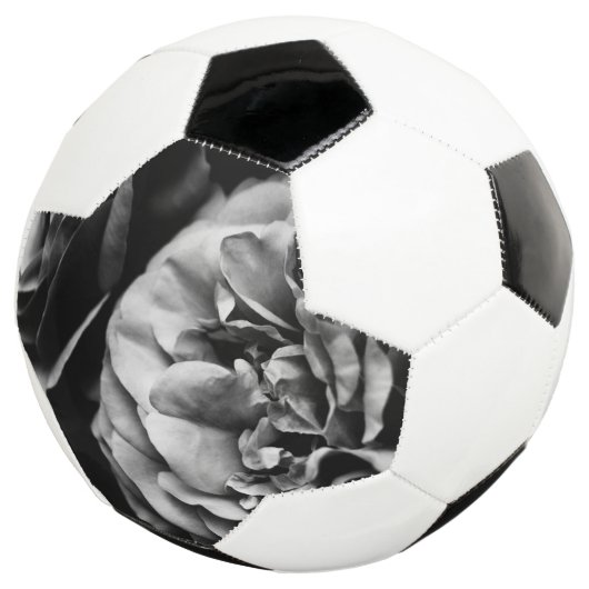 zwei Rose Fußball (Dreiviertel)