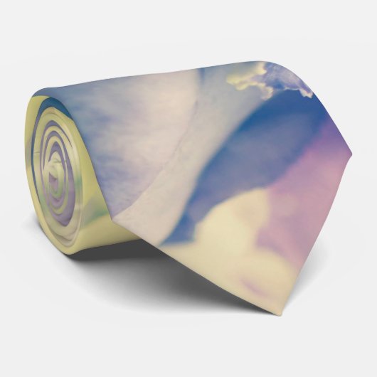 Zwei Rose hinter einem Glas Krawatte (Gerollt)